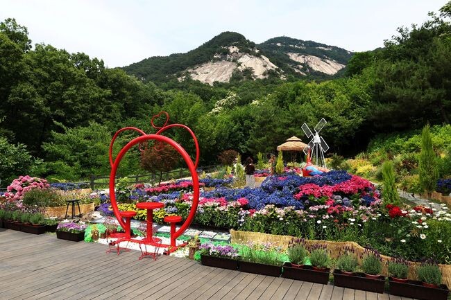  불암산 힐링타운 내 새로 개장한 ‘수국정원’