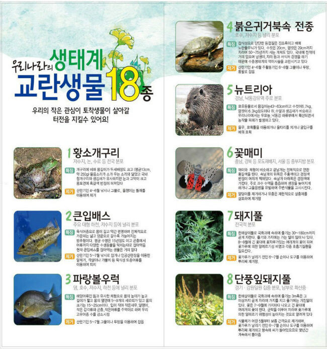 생태계교란식물