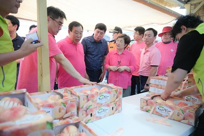 세종시, '조치원복숭아축제' 8만여 명 방문