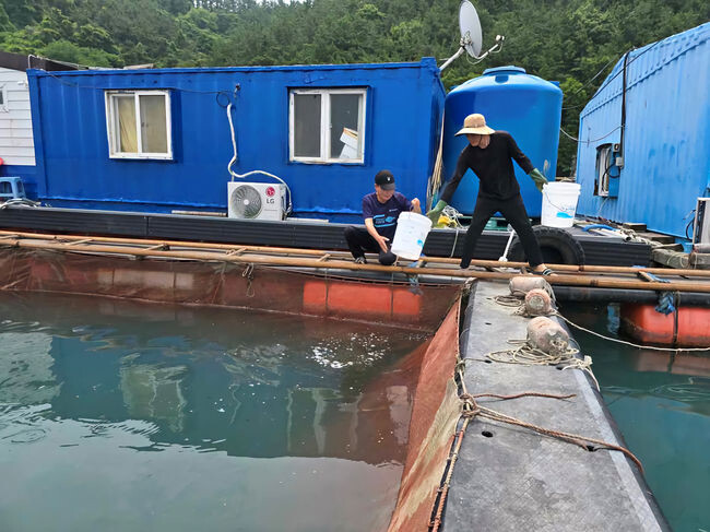 여수시, “양식수산물 입식·출하 신고 잊지마세요”