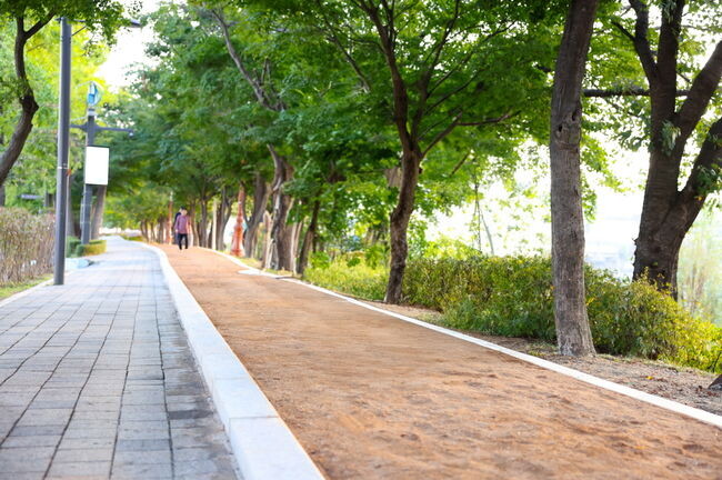 안양천 고척교 인근 황톳길 모습 