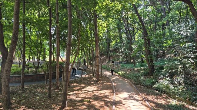 남동구, 맨발 산책로 15개소 운영…주민 만족도 높아