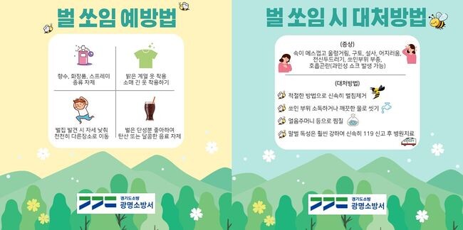 벌 쏘임 사고 주의보, 광명소방서, 벌 쏘임 시 행동요령 홍보에 나서
