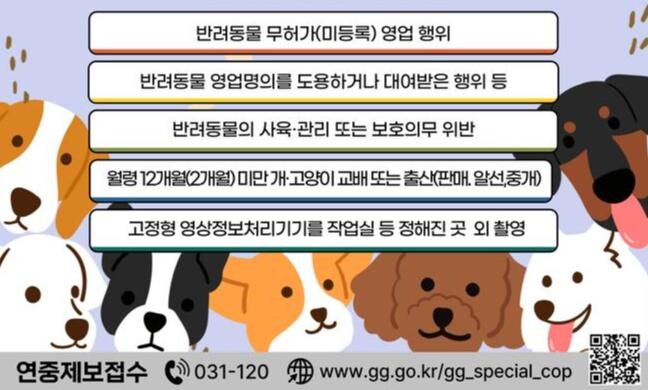 경기도 특사경, 반려동물 영업장 집중수사…펫샵 불법행위 근절