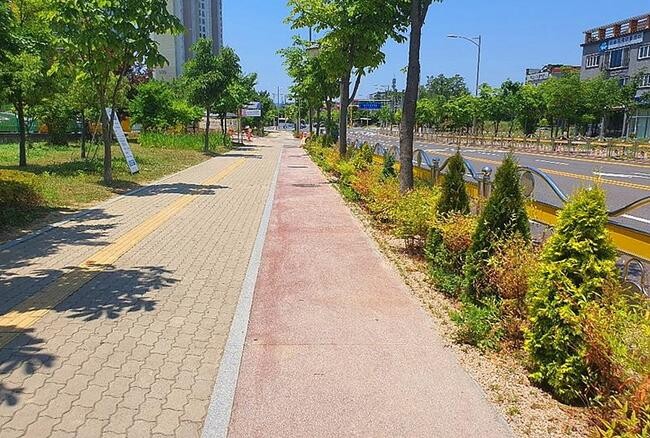 대구시, 어린이보호구역 등하굣길 지키는 자녀안심그린숲 조성