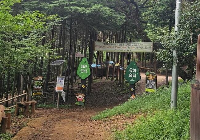 연제구, 유아숲터 친환경 어린이 전용 화장실 신축 추진