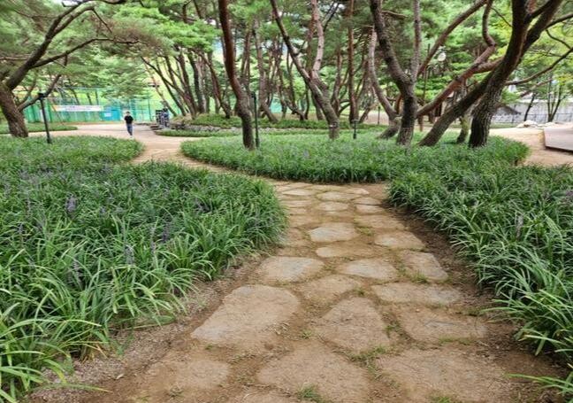 제천 의림지 솔밭공원 '힐링 존' 조성 완료
