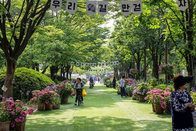 5월에 진행한 ‘정원소풍’의 현장 모습
