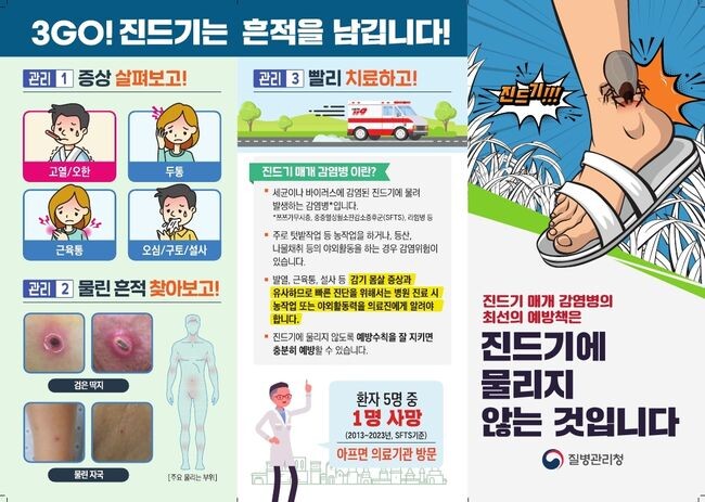 강릉시, 추석 명절 벌초&middot;성묘 시 &lsquo;진드기 매개 감염&rsquo; 주의 당부