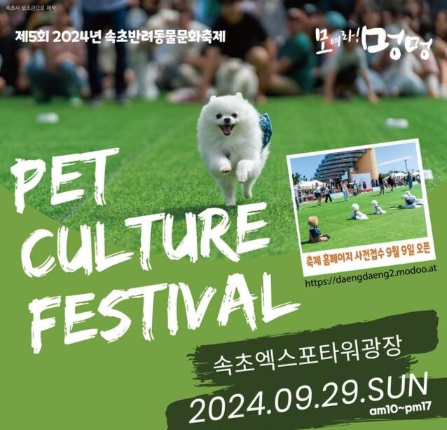 제5회 속초반려동물 문화축제 포스터