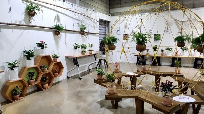 '반려식물과의 동행' 2024년 관악구 반려식물 문화전시회 개최