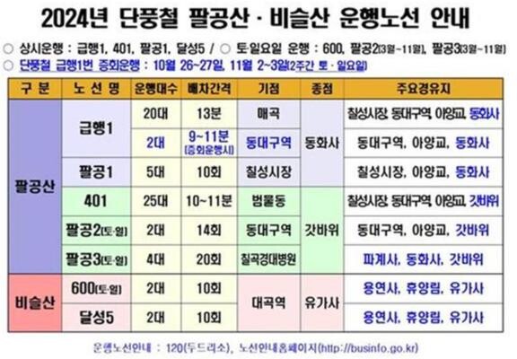 대구시 "팔공산 단풍구경은 편리한 시내버스를 이용하세요"