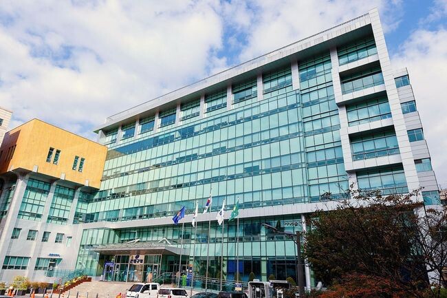 은평구, &ldquo;11, 12월 두 달만 김장쓰레기 일반 종량제 폐기물 봉투에 담아 버리세요&rdquo;