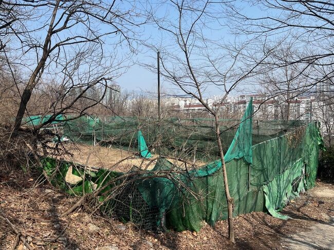 여름향기정원 조성 전 개운산 근린공원 내 무단점유시설&nbsp;