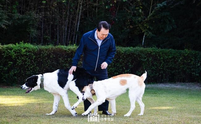 윤석열 대통령 부부가 중앙아시아 순방에서 투르크메니스탄 대통령으로부터 선물받은 국견(國犬) 알라바이 ‘해피’와 ‘조이’가 11일 과천 서울대공원으로 새 거처를 옮겼다. 