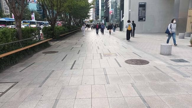 서울 서초구는 강남역&sim;신논현역 구간 보도 중앙에 설치된 대형 화분과 의자 약 53개를 철거해 안전한 보행환경을 조성했다고 밝혔다.