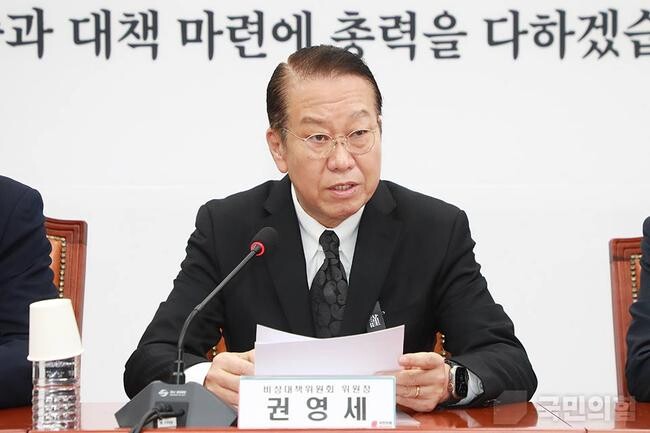 국민의힘 권영세 비상대책위원장