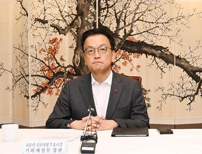 최상목 대통령 권한대행 부총리 겸 기획재정부 장관이 지난 24일 오전 서울 종로구 정부서울청사에서 `대외경제현안간담회`를 주재하고 있다.
