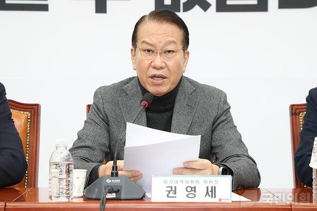 권영세 국민의힘 비상대책위원장