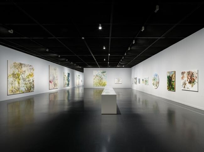 삼화페인트공업㈜은 6월 8일(일)까지 서울시립미술관에서 열리는 강명희 작가 개인전 `강명희-방문 Visit`에 친환경 페인트를 후원한다.
