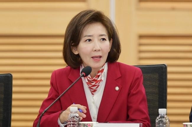 나경원 국민의힘 의원