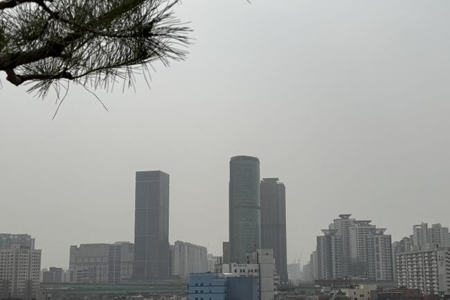 서울시 보건환경연구원은 25일 서울 전역에서 미세먼지 농도가 시간당 평균 156㎍/㎥(12시), 164㎍/㎥(13시)를 기록했다고 밝혔다.