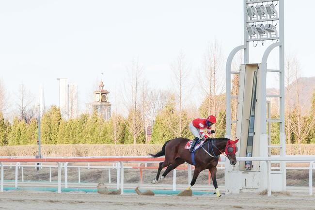지난 3월 29일 토요일, 한국마사회(회장 정기환) 렛츠런파크 서울 9경주에서 문세영 기수가 우승하며 개인 통산 2,000승이라는 대기록을 달성했다.