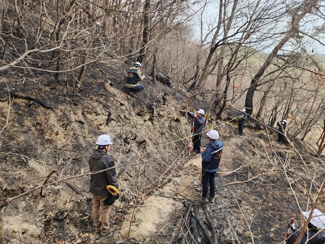 지난 3월 대형 산불피해지 산사태 긴급진단(울산광역시 울주군) 모습 (산림청 제공)