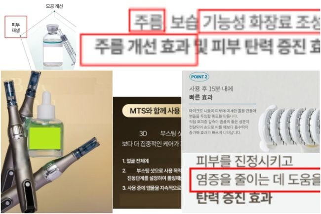 주요 적발 사례