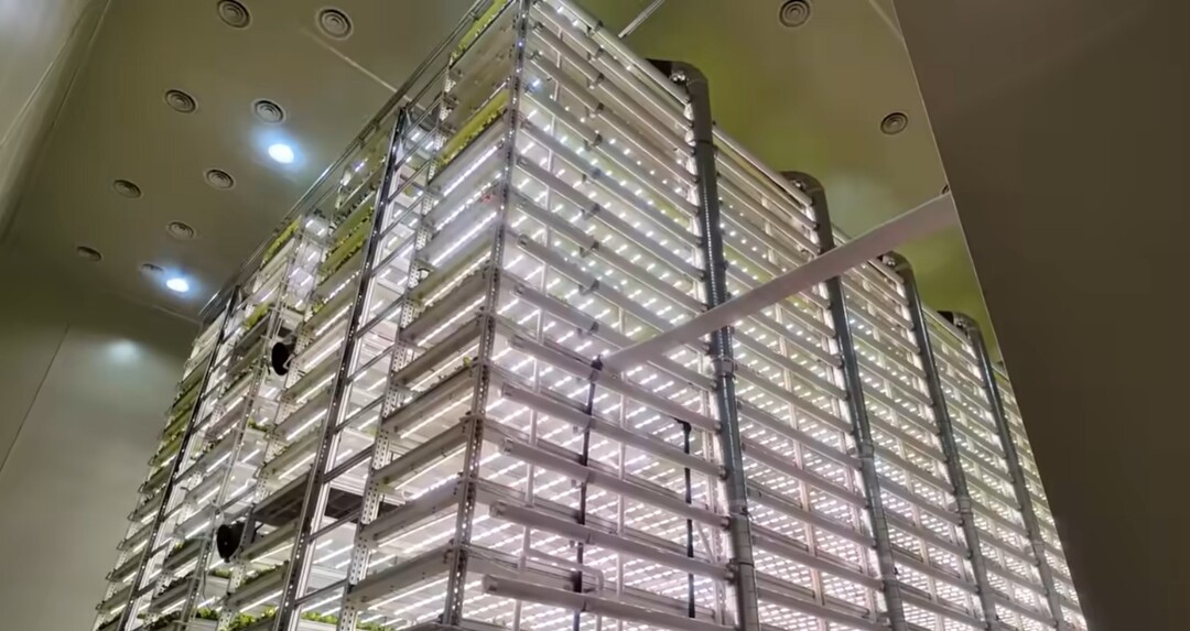 [기획특집 스마트팜] ⑦ 2030, 농장이 브랜드 매장이 되는 시대