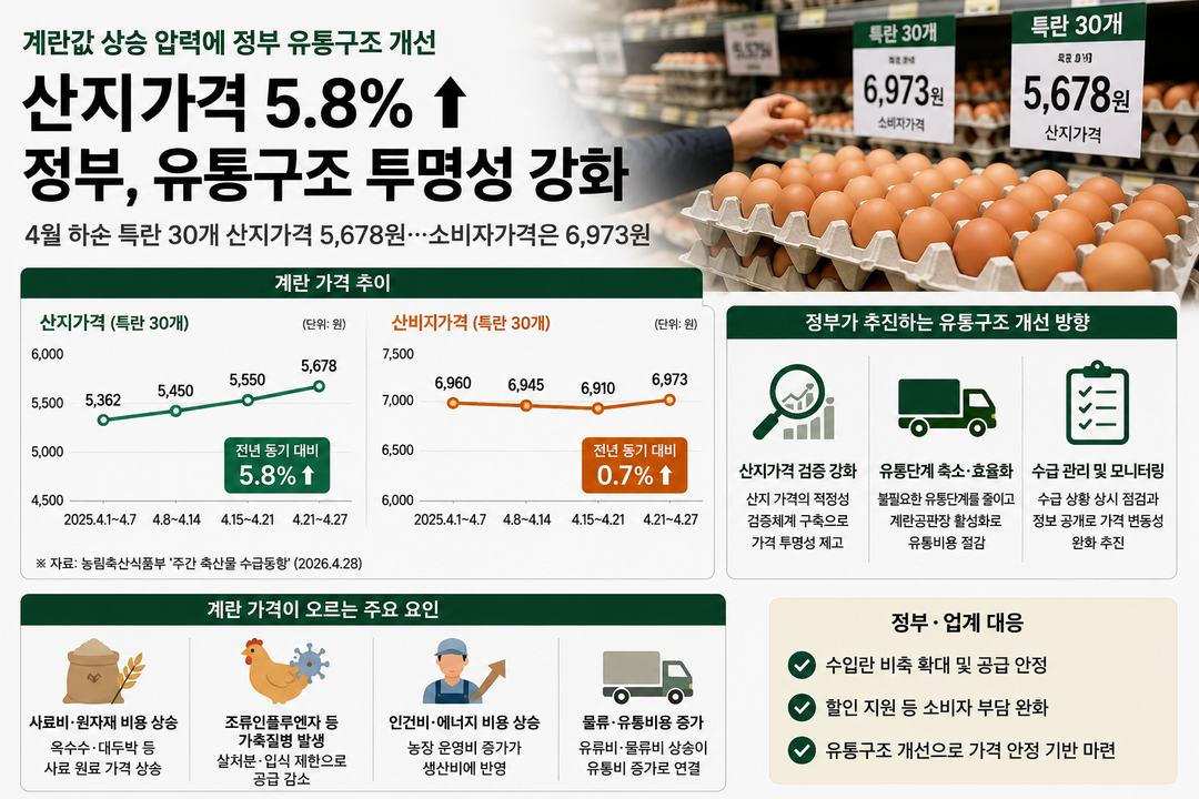 계란값 상승 압력에 정부 유통구조 개선…산지가격 검증 강화