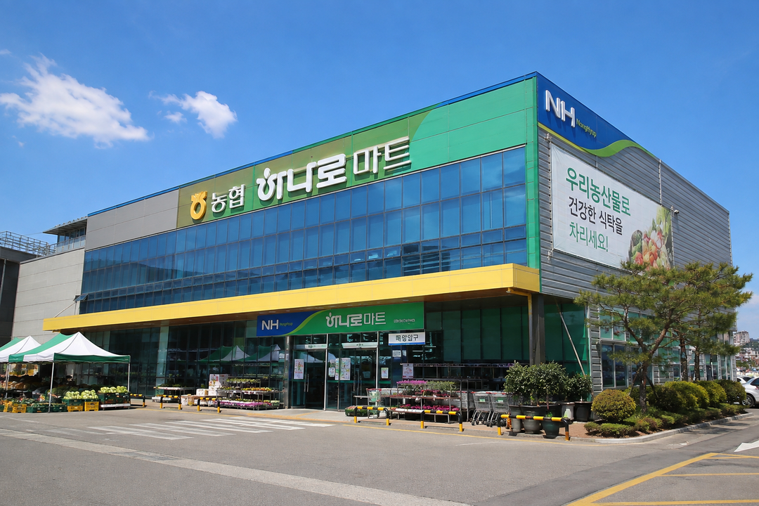 농협 하나로마트, 창립 11주년 '농심장터' 연다…농축산물 최대 50% 할인